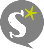 Logo Shyne Graphik